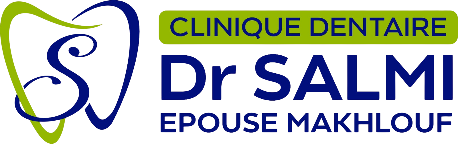 SALMI LOGO